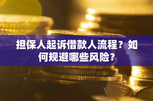 济南担保人起诉借款人流程？如何规避哪些风险？