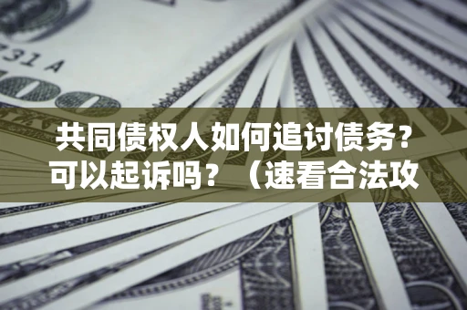 济南共同债权人如何追讨债务？可以起诉吗？（速看合法攻略）