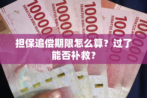 济南担保追偿期限怎么算？过了能否补救？